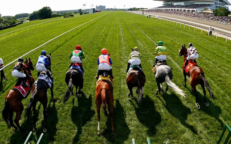 Benefits of Horse Racing Betting