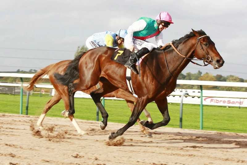 Horse Racing Betting Strategies You Need to Know