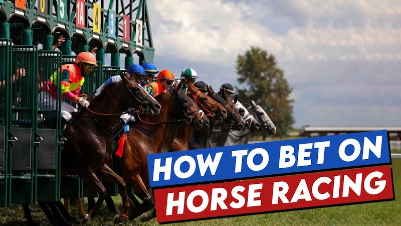 How to Bet on Horse Racing Effectively